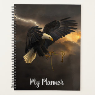 Bald Eagle Planer
