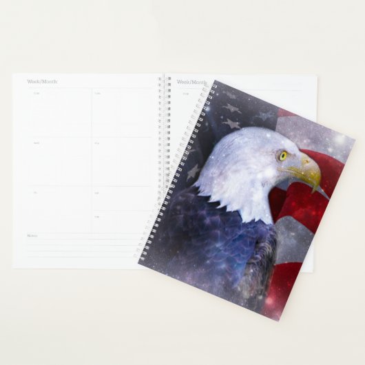 Bald Eagle Planer (Anzeige)