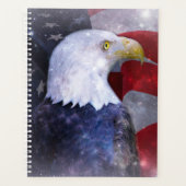 Bald Eagle Planer (Vorderseite)