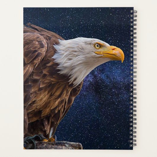 Bald Eagle Planer (Rückseite)