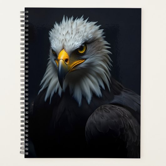 Bald Eagle Planer (Vorderseite)