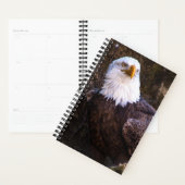 Bald Eagle Planner Planer (Anzeige)