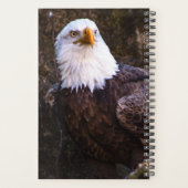 Bald Eagle Planner Planer (Rückseite)