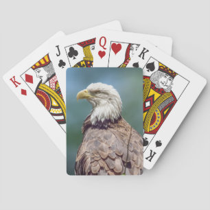 Bald Eagle Playing Cards Spielkarten