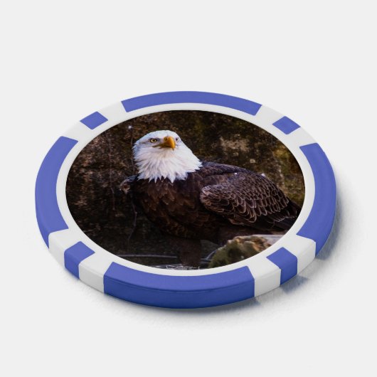 Bald Eagle Pokerchips (Einzeln)