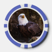 Bald Eagle Pokerchips (Vorderseite)
