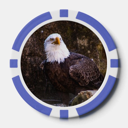 Bald Eagle Pokerchips (Vorderseite)