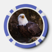 Bald Eagle Pokerchips (Rückseite)