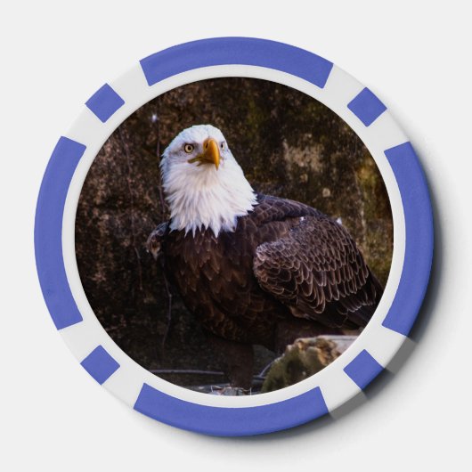 Bald Eagle Pokerchips (Rückseite)