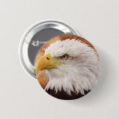 Bald Eagle Portrait Button (Vorne & Hinten)