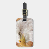Bald Eagle Portrait Gepäckanhänger (Vorderseite vertikal)