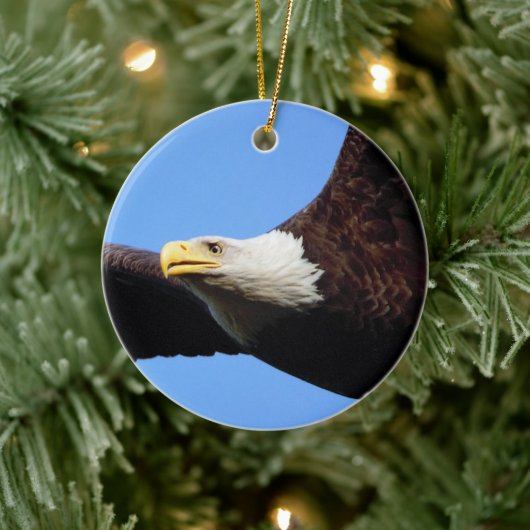 Bald Eagle Portrait Keramik Ornament (Baum)