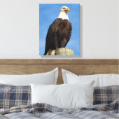 Bald Eagle Portrait Leinwand Wrap (Insitu (Schlafzimmer))