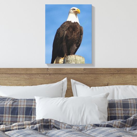 Bald Eagle Portrait Leinwand Wrap (Insitu (Schlafzimmer))