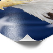 Bald Eagle Portrait mit Sternen Fotodruck (Ecke)