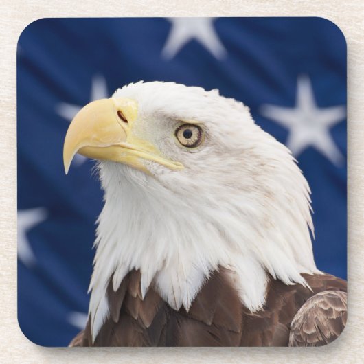 Bald Eagle Portrait mit Sternen Getränkeuntersetzer (Vorderseite)