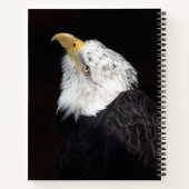 Bald Eagle Portrait Notizblock (Rückseite)