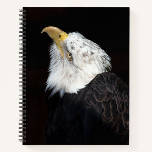 Bald Eagle Portrait Notizblock