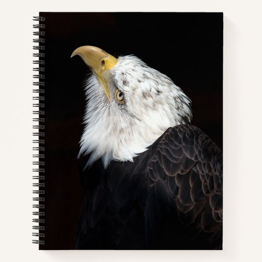 Bald Eagle Portrait Notizblock (Vorderseite)