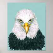 Bald Eagle Portrait Poster (Vorne)