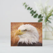 Bald Eagle Portrait Postkarte (Stehend Vorderseite)