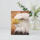 Bald Eagle Portrait Postkarte (Stehend Vorderseite)