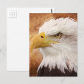Bald Eagle Portrait Postkarte (Vorne/Hinten)