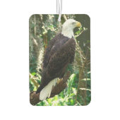 Bald Eagle Portrait Rectangle Air Freshener Autolufterfrischer (Rückseite)