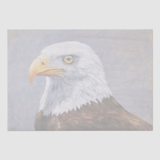 Bald Eagle Portrait Seidenpapier (Vorderseite)