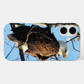 Bald Eagle Pose Case-Mate iPhone Hülle (Rückseite (Horizontal))