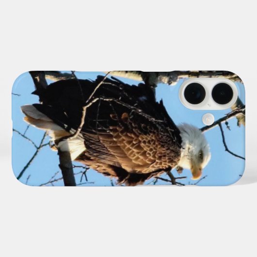 Bald Eagle Pose Case-Mate iPhone Hülle (Rückseite (Horizontal))