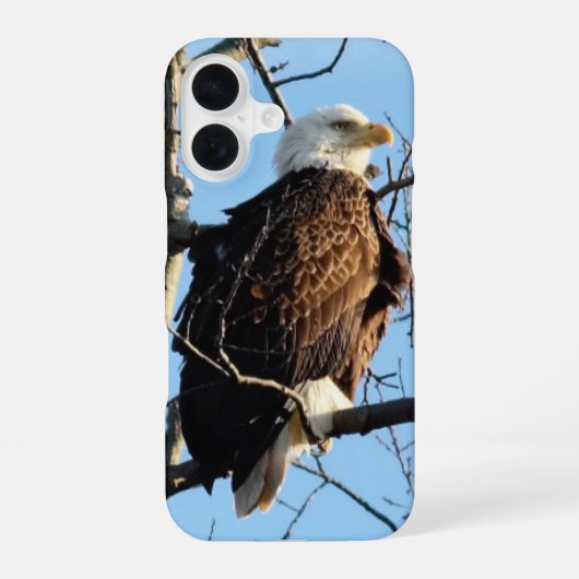 Bald Eagle Pose iPhone 16 Hülle (Rückseite)