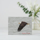 Bald Eagle Post Card Postkarte (Stehend Vorderseite)