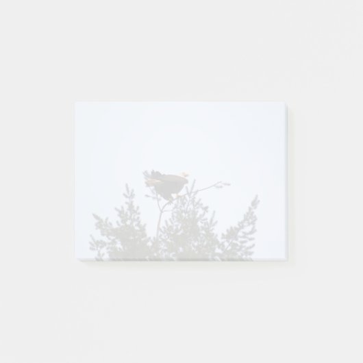 Bald Eagle Post-it Klebezettel (Vorderseite)