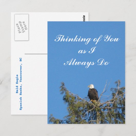 Bald Eagle Postcard Postkarte (Vorne/Hinten)