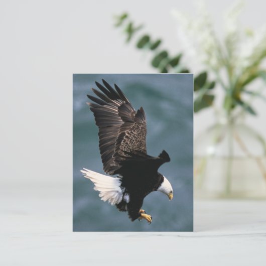 Bald Eagle Postcard Postkarte (Stehend Vorderseite)