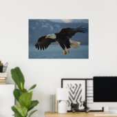 Bald Eagle Poster (Heimbüro)