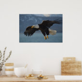Bald Eagle Poster (Küche)