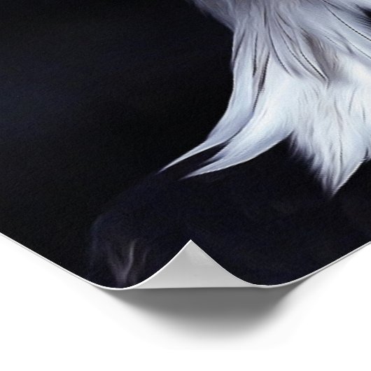 Bald Eagle Poster (Ecke)