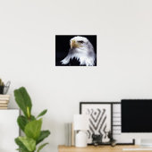 Bald Eagle Poster (Heimbüro)