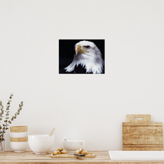 Bald Eagle Poster (Küche)
