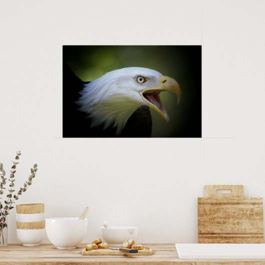 Bald Eagle Poster (Küche)
