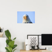 Bald Eagle Poster (Heimbüro)