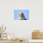Bald Eagle Poster (Küche)
