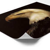 BALD EAGLE POSTER (Ecke)