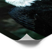 Bald Eagle Poster (Ecke)