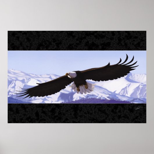 Bald Eagle Poster (Vorne)