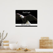 Bald Eagle Poster (Küche)