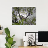Bald Eagle - Poster (Heimbüro)