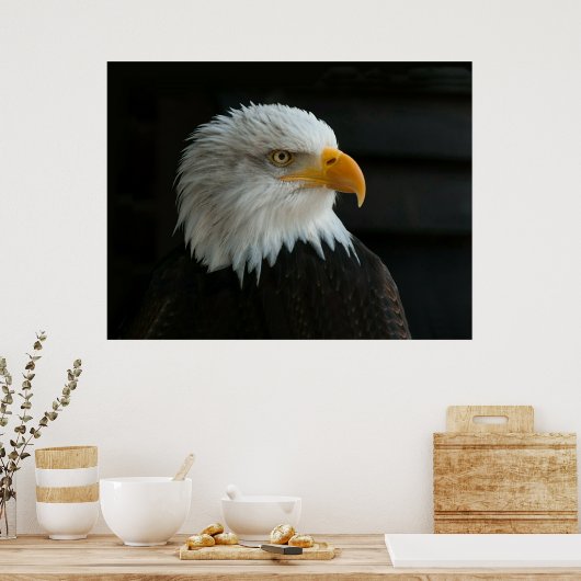 BALD EAGLE POSTER (Küche)